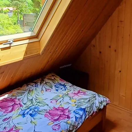 木屋 Pod Zielonym Dachem 鲁特罗