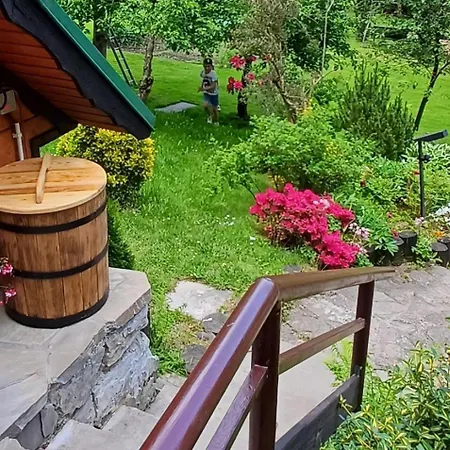 木屋 Pod Zielonym Dachem