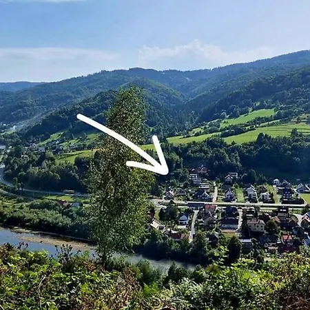 Pod Zielonym Dachem Chalet *